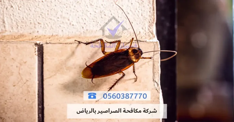شركة مكافحة الصراصير بالرياض - فرسان المكافحة
