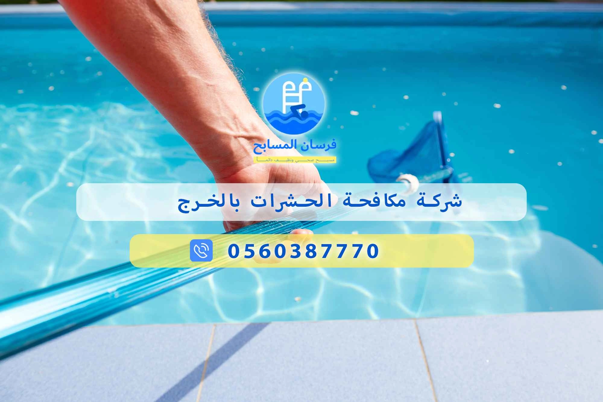 شركة مكافحة الحشرات بالخرج 0560387770 | فرسان المسابح - فرسان المسابح