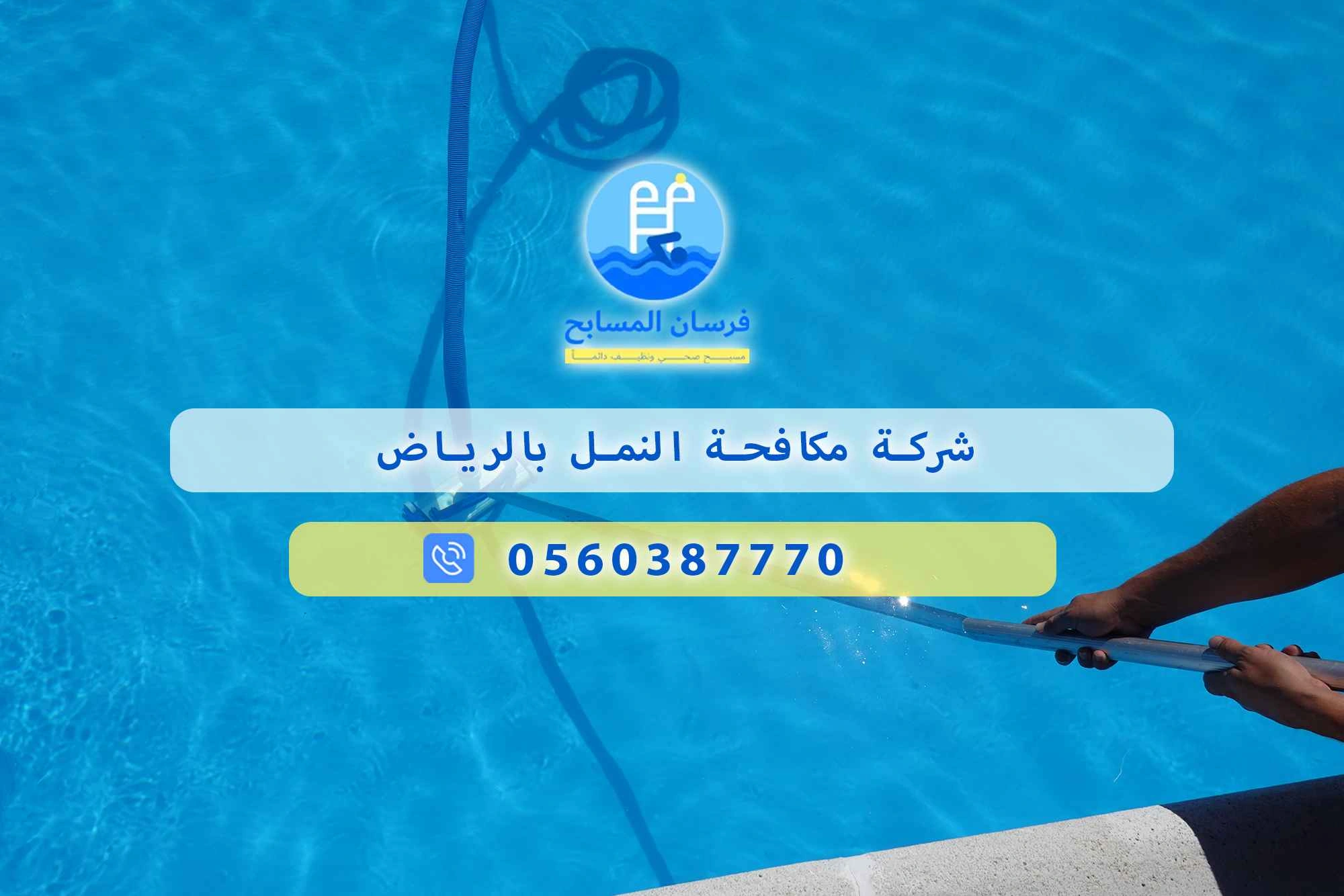 شركة مكافحة النمل بالرياض 0560387770 | فرسان المسابح